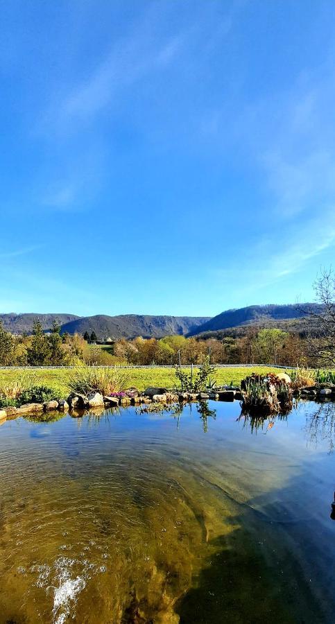 Appartamento Bergblick Thale Esterno foto